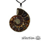 selection-zen pendentif ammonite 