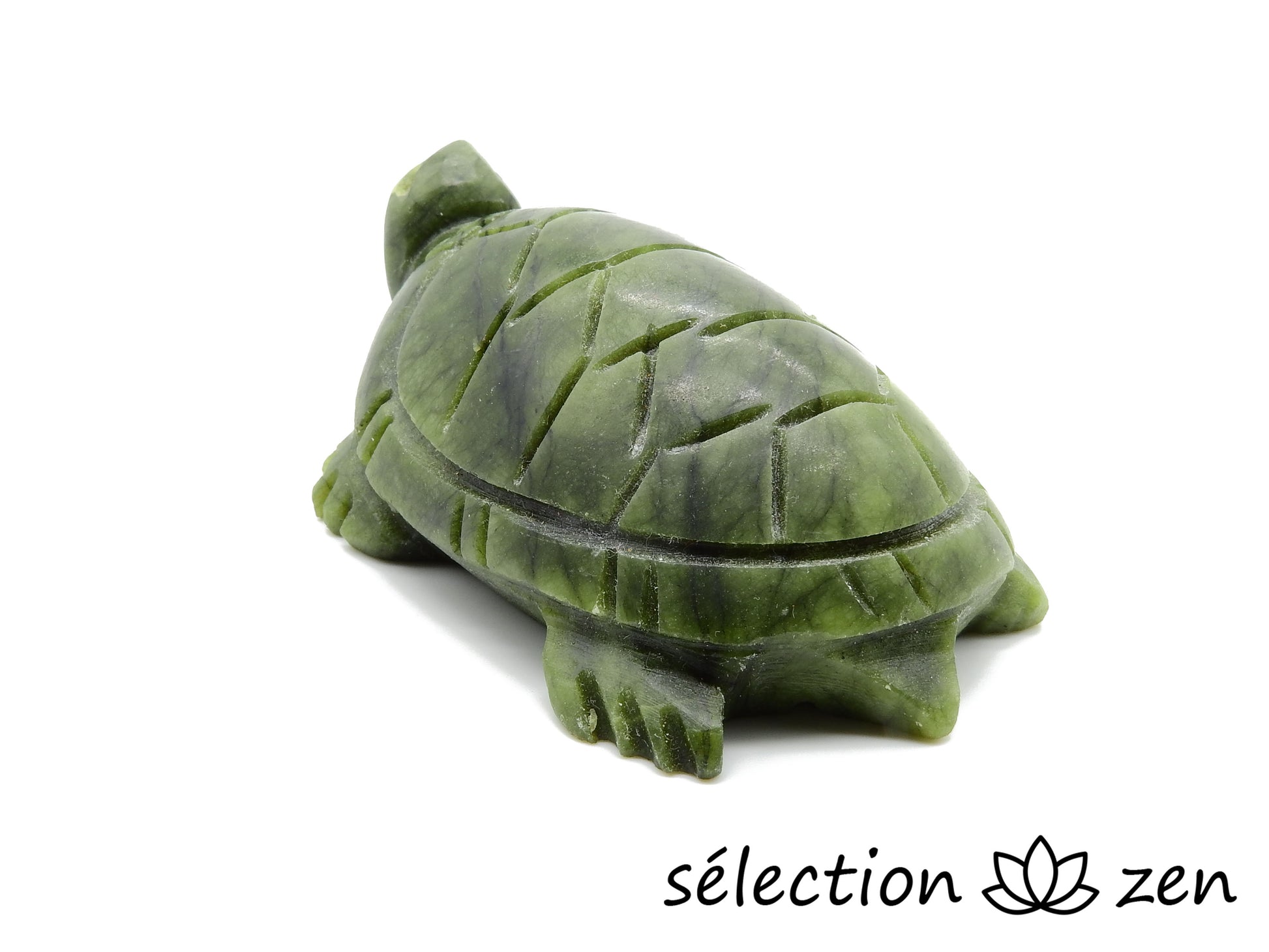 tortue jade selection zen
