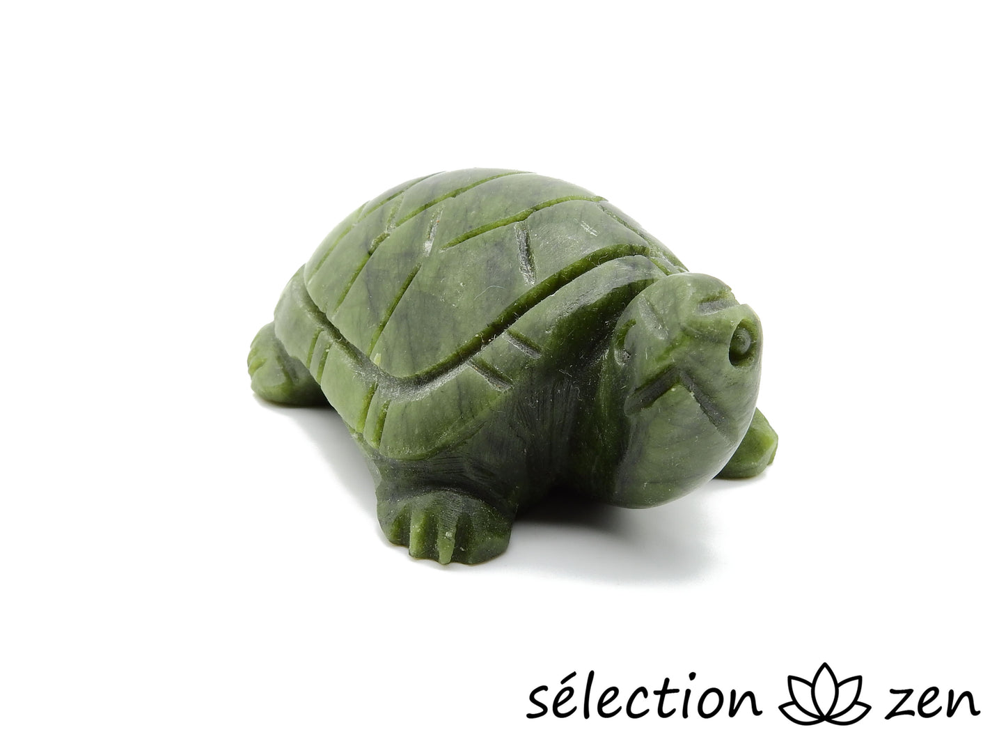 selection-zen tortue jade