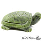 tortue jade selection zen