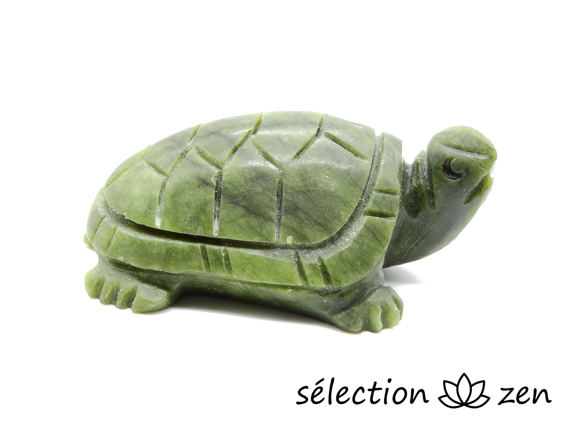 tortue jade selection zen