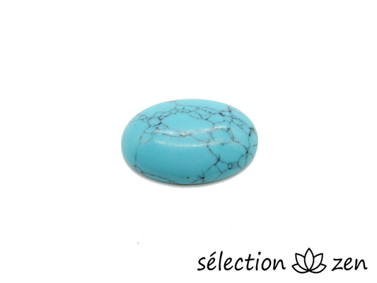 howlite turquoise 18x25mm cabochon selection-zen